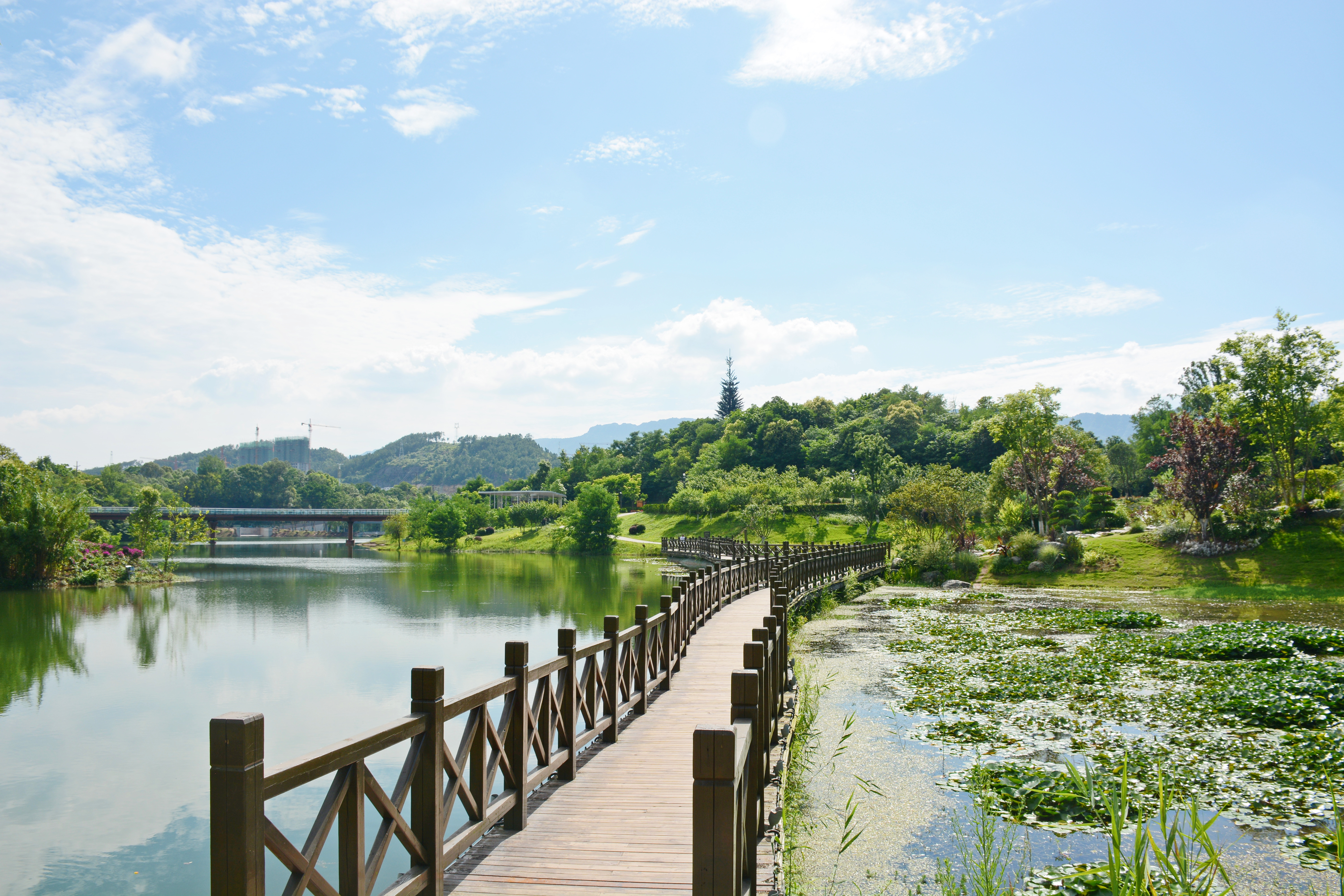 蓮花湖