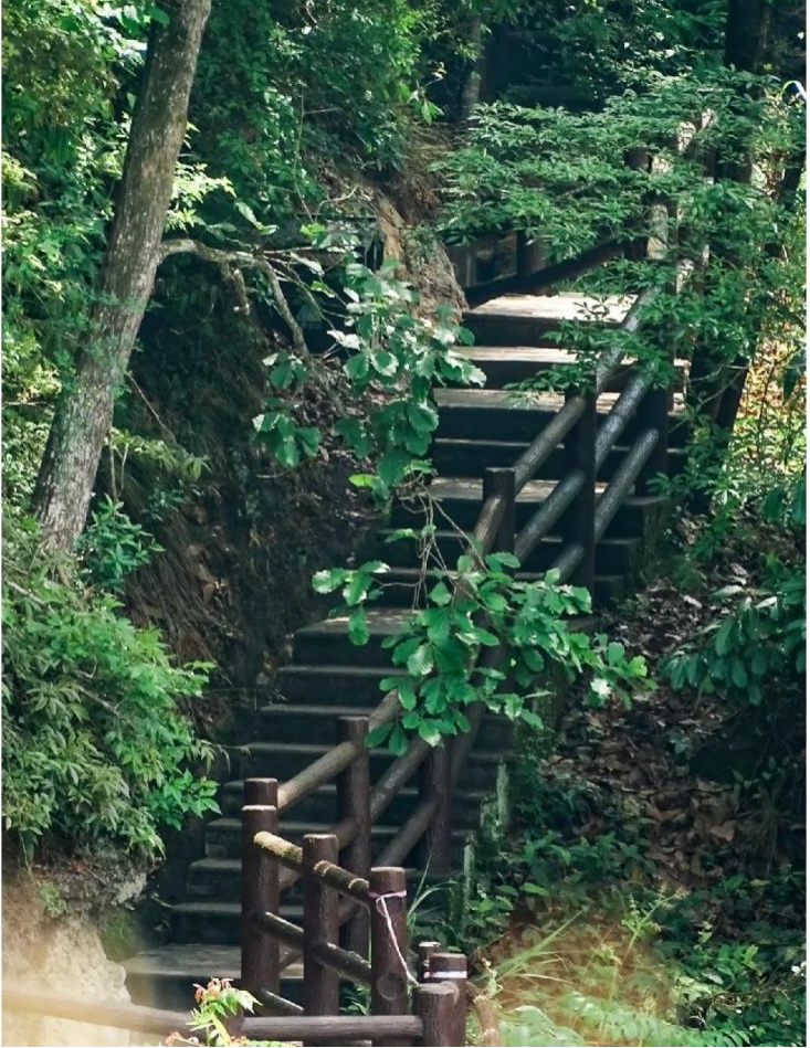 犀牛山森林公園